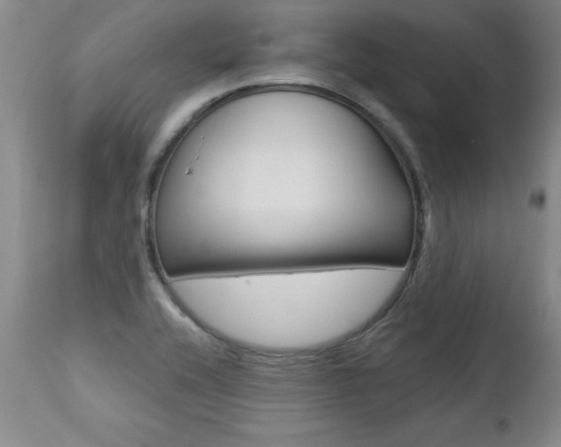 X0000112461416200908171005