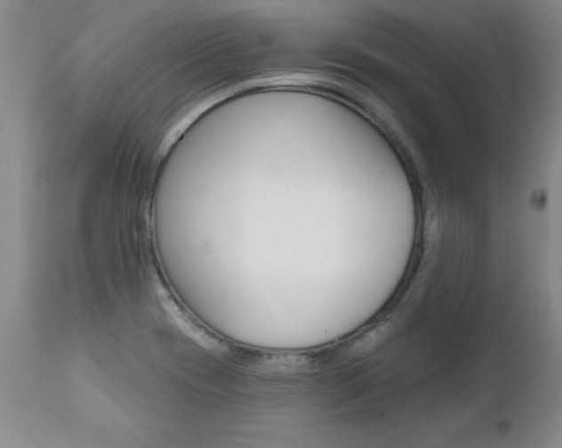 X0000112461417200908171005