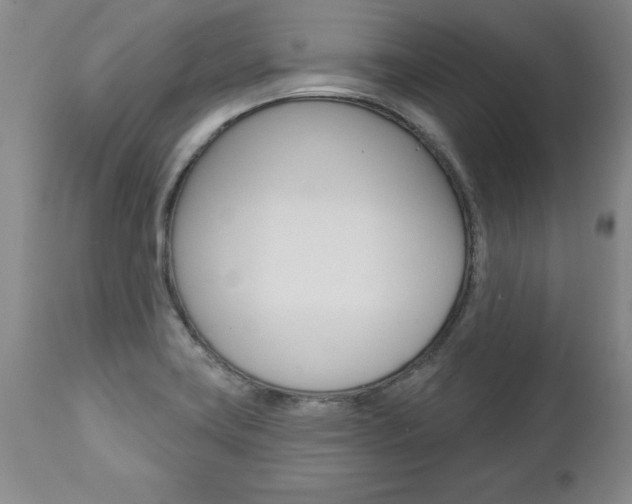 X0000112461419200908171005
