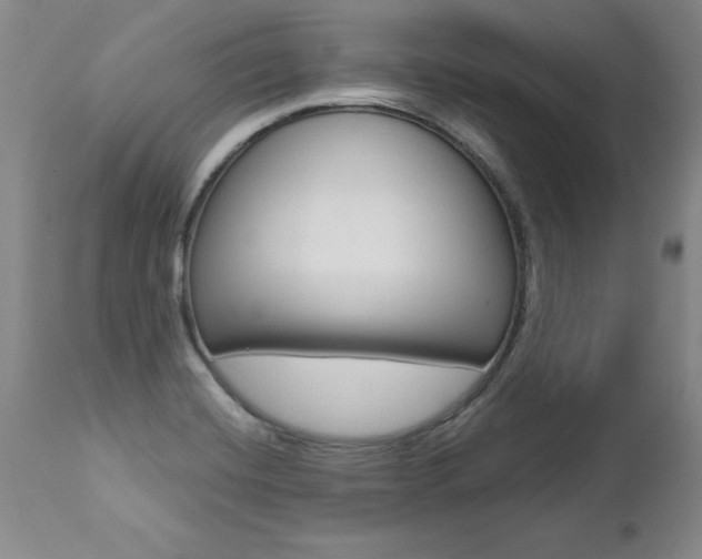 X0000112461420200908171005