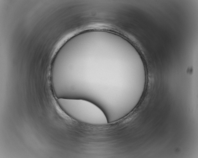 X0000112461421200908171005