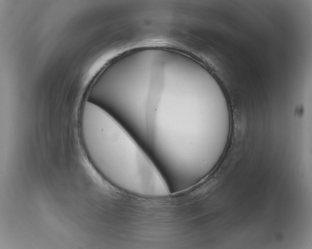 X0000112461422200908171005