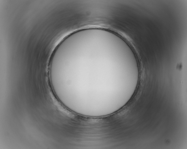 X0000112461423200908171005