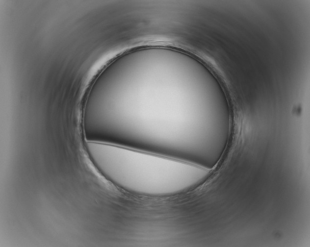 X0000112461424200908171005