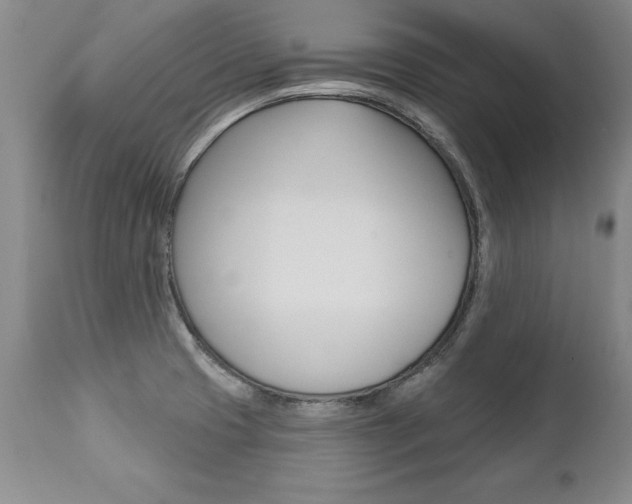 X0000112461425200908171005