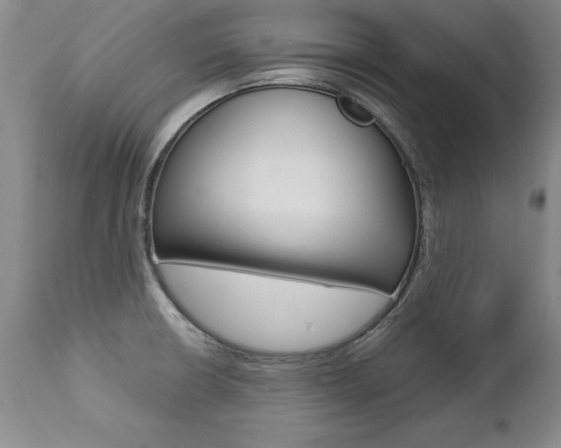 X0000112461426200908171005