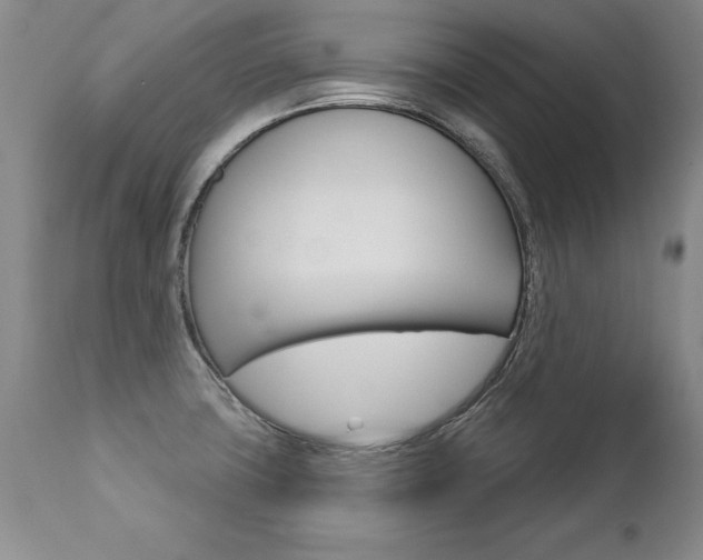 X0000112461427200908171005