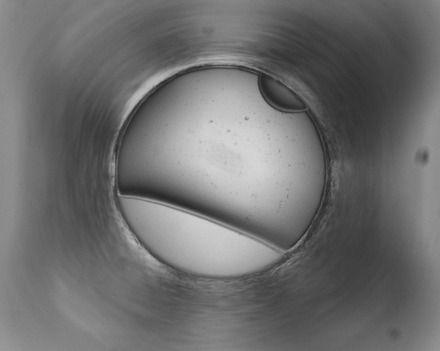 X0000112461428200908171005