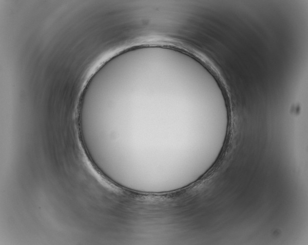 X0000112461429200908171005