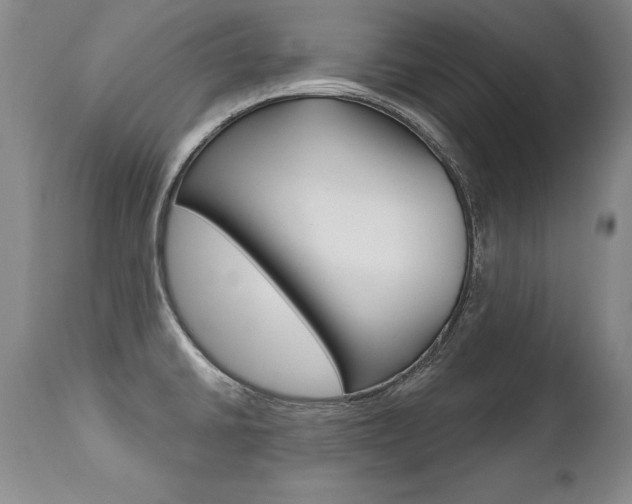X0000112461430200908171005