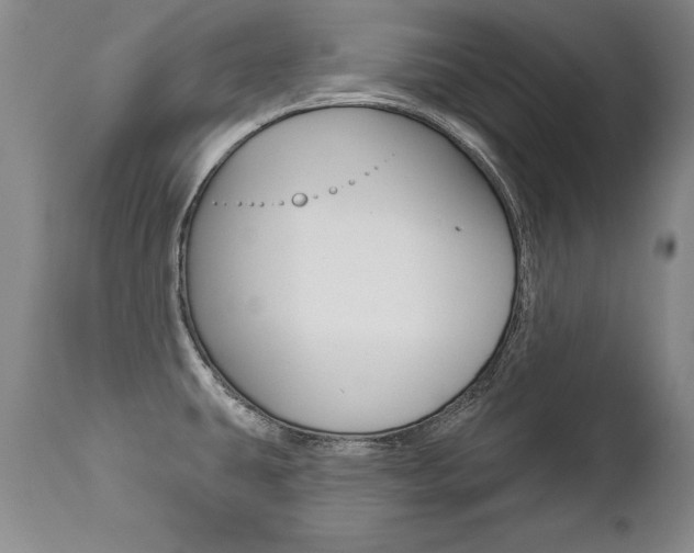 X0000112461431200908171005