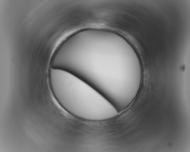 X0000112461432200908171005