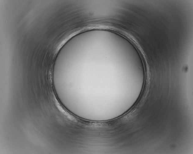 X0000112461433200908171005