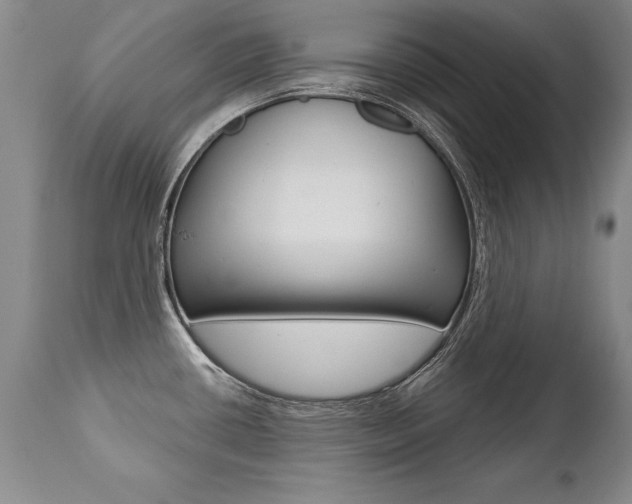 X0000112461434200908171005
