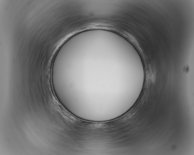 X0000112461435200908171005