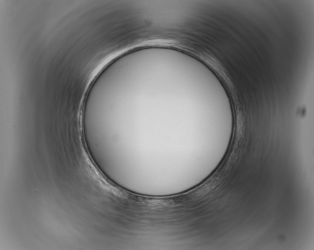 X0000112461436200908171005