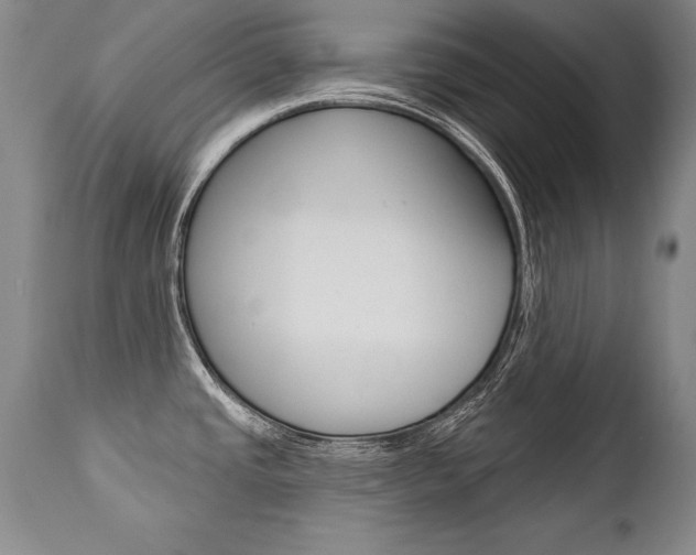 X0000112461437200908171005