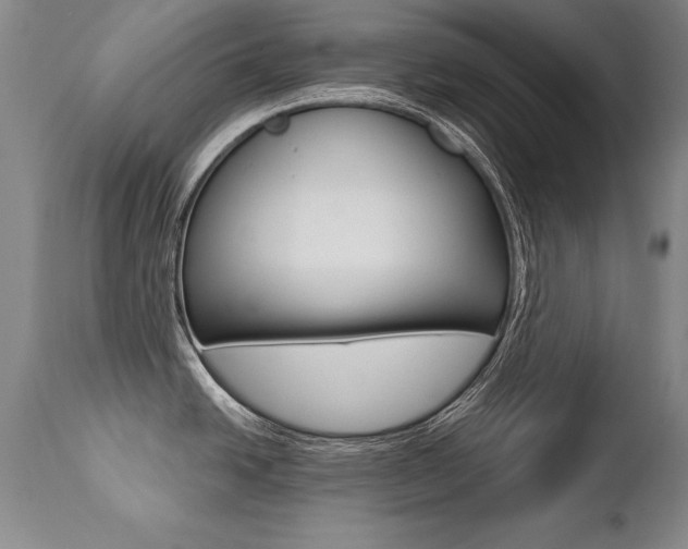 X0000112461438200908171005
