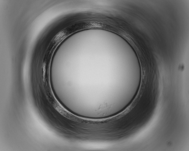 X0000112461439200908171005