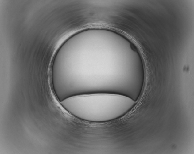 X0000112461440200908171005