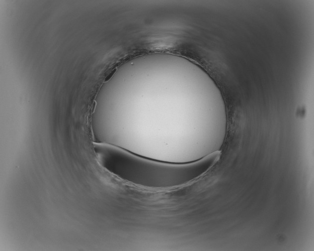 X0000112461441200908171005