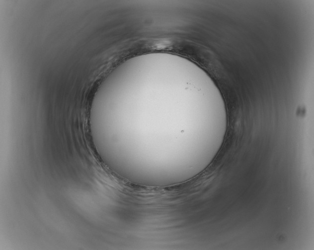 X0000112461442200908171005