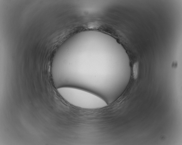 X0000112461443200908171005