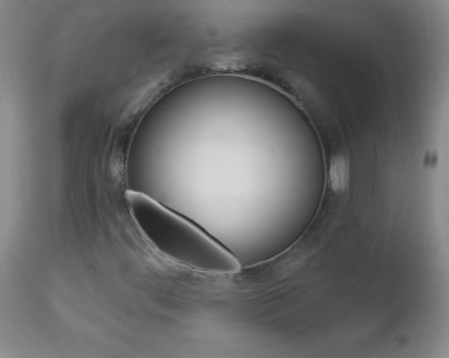X0000112461444200908171005