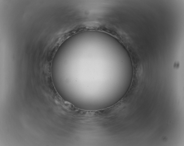 X0000112461445200908171005
