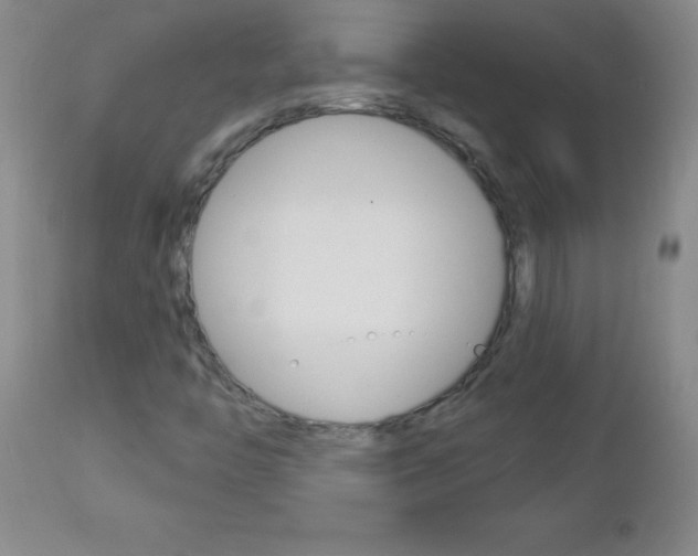 X0000112461446200908171005