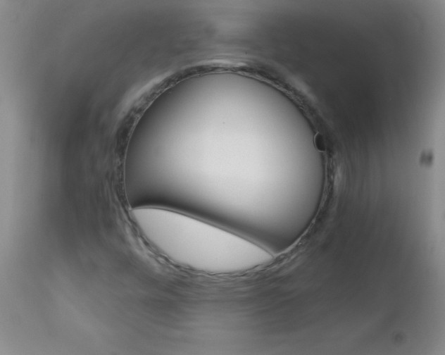 X0000112461448200908171005