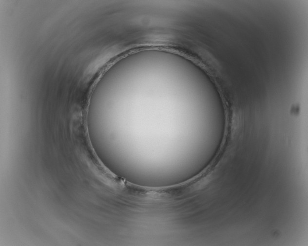 X0000112461449200908171005