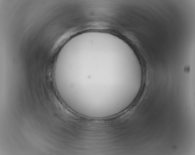 X0000112461451200908171005
