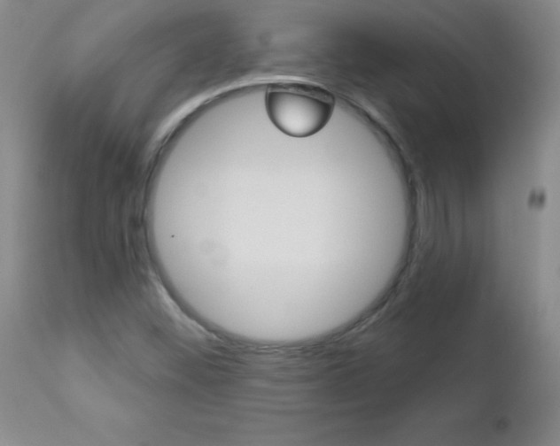 X0000112461452200908171005