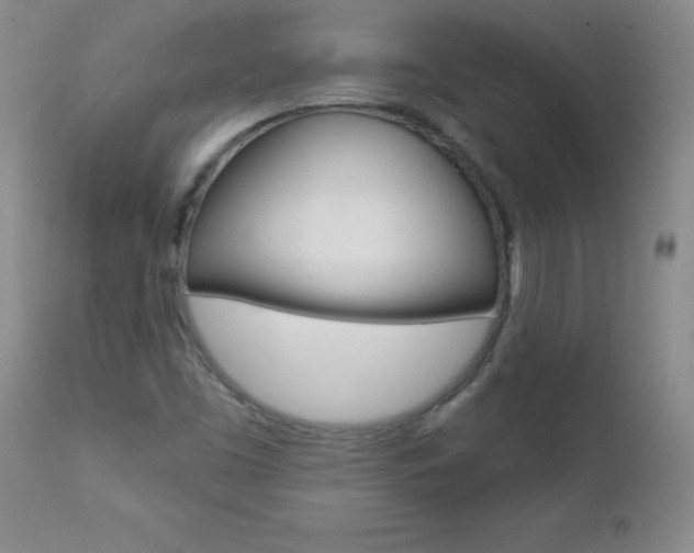 X0000112461453200908171005