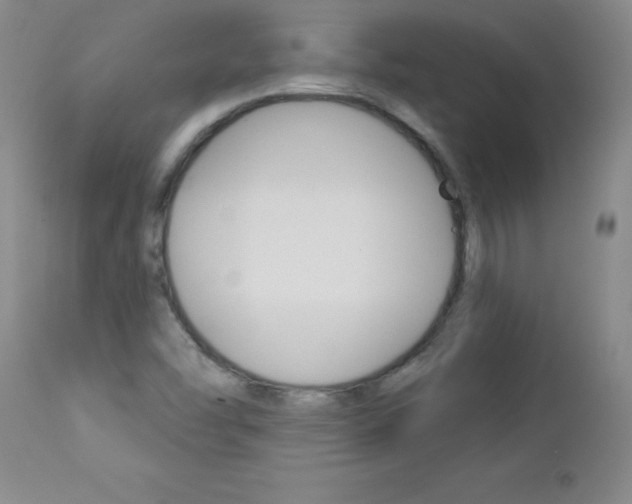 X0000112461454200908171005