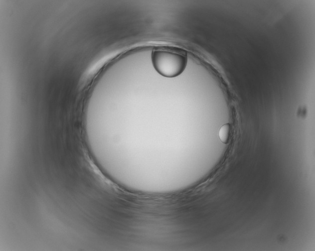 X0000112461456200908171004