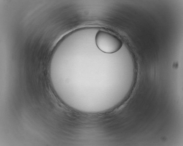 X0000112461457200908171004