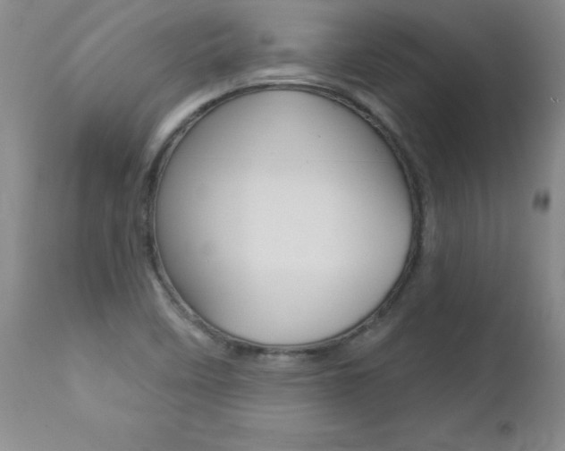 X0000112461458200908171004