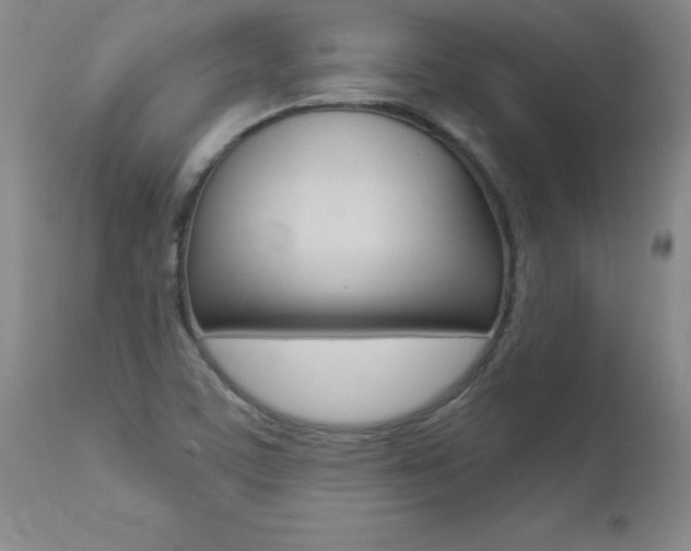 X0000112461459200908171004