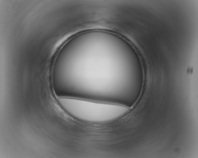X0000112461460200908171004