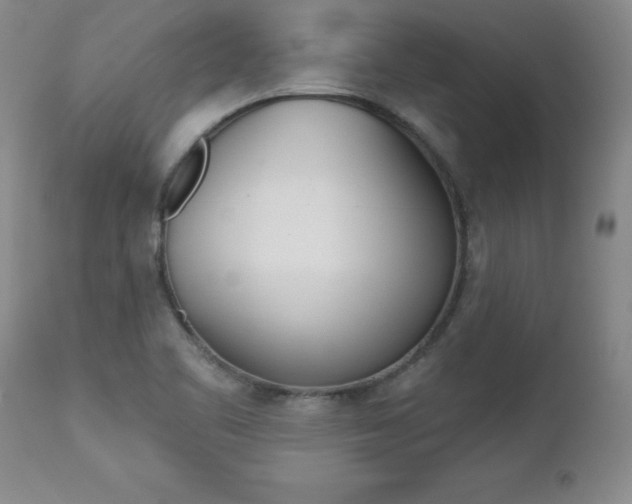 X0000112461461200908171004