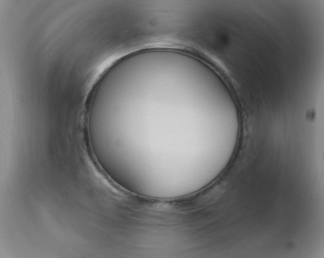 X0000112461463200908171004