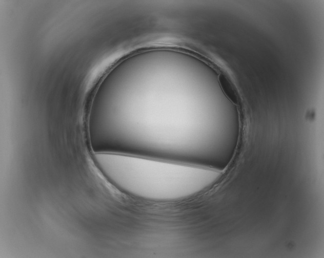 X0000112461464200908171004