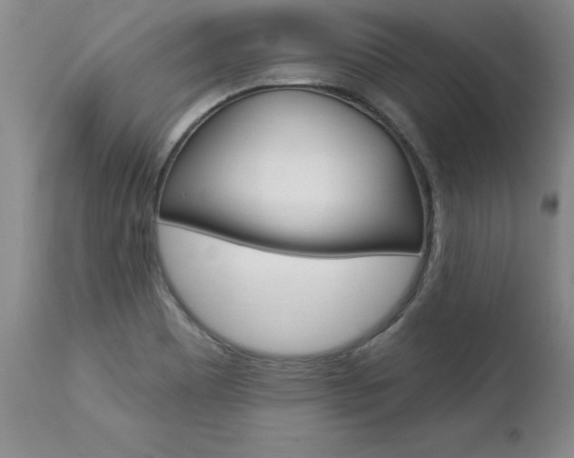 X0000112461465200908171004