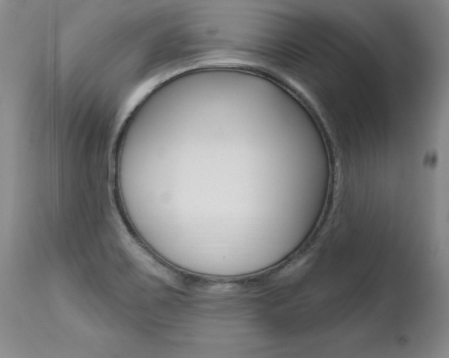 X0000112461467200908171004