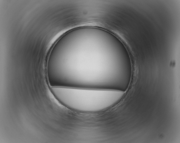 X0000112461468200908171004