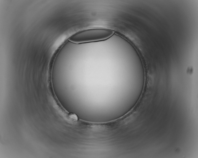 X0000112461469200908171004