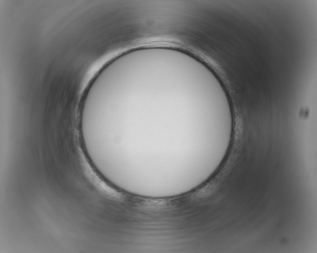 X0000112461470200908171004