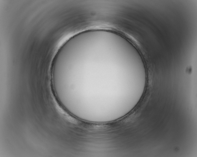 X0000112461471200908171004